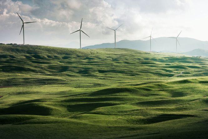 Windmill farm on a green grassy ground